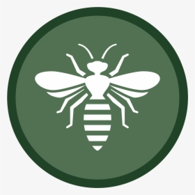 Bee Icon-02 - Wasp, HD Png Download, Free Download