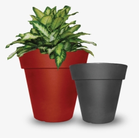 Flowerpot, HD Png Download, Free Download