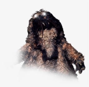Doctor Who Yeti, HD Png Download, Free Download