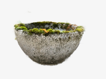France Mid Century Table Top Bowl Planters - Moss, HD Png Download, Free Download