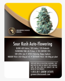 Sour Kush Auto-flowering Feminized Cannabis Seeds - Kush Xl, HD Png Download, Free Download