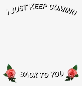 Png, Roses, And Back To You Image - Garden Roses, Transparent Png, Free Download