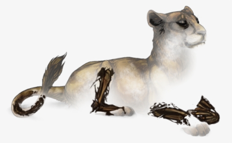 Deer, HD Png Download, Free Download