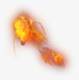 Hand Torch Png Image - Insect, Transparent Png, Free Download
