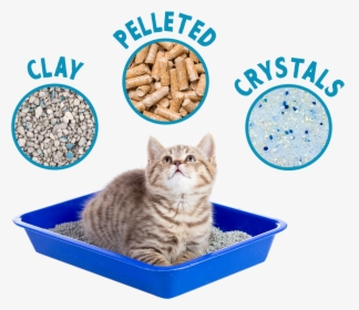 Litter Box, HD Png Download, Free Download