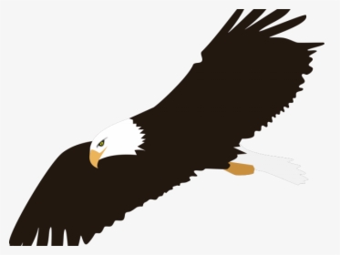 Eagle Clipart Transparent Background, HD Png Download, Free Download