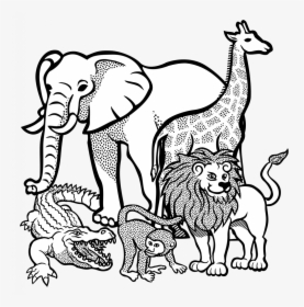 Nice Elephant Drawing Outline Collection Of Free Elephants - Animals Clipart Black And White Png, Transparent Png, Free Download