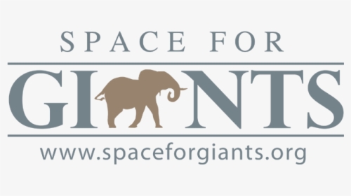 Elephants Png, Transparent Png, Free Download