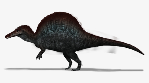 Spinosaurus - Lesothosaurus, HD Png Download, Free Download