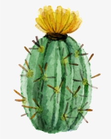 Transparent Watercolor Cactus Png - Watercolor Cactus Flower Vector, Png Download, Free Download
