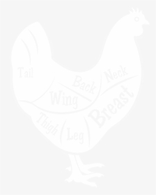 Chicken Cuts Of Meat Drawing - Rooster, HD Png Download, Free Download