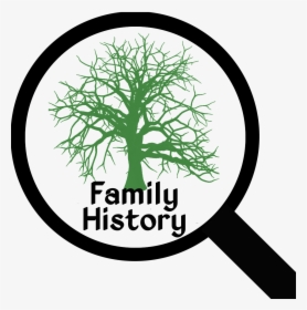 Think There Is No Difference In Genealogy Vs - Transparent Background Old Trees Png, Png Download, Free Download