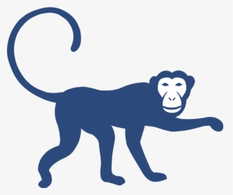 Monkey Icon-no Circle - Monkey, HD Png Download, Free Download