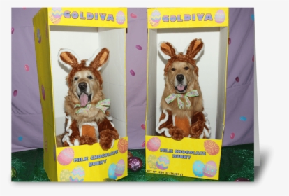 Golden Retriever Chocolate Bunny Easter Greeting Card - German Shepherd Dog, HD Png Download, Free Download