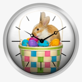 Easter Bunny In A Basket With Coloured Eggs - Easter Bunny, HD Png Download, Free Download
