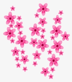 Cherry Blossom Png No Background , Png Download - Cherry Blossom, Transparent Png, Free Download