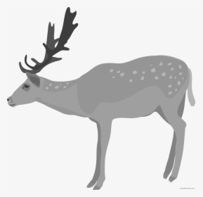 Clipart Fall Deer - Transparent Background Deer Clipart, HD Png Download, Free Download