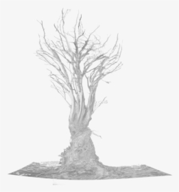 Dead Trees Drawing Background, HD Png Download, Free Download