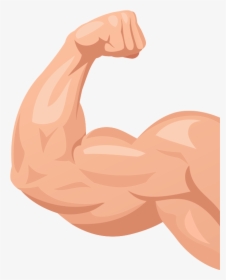 Muscle Arm Flexing - Illustration, HD Png Download, Free Download
