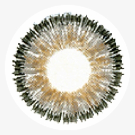 Circle, HD Png Download, Free Download