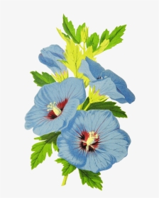 Blue Flowers For Scrapbooking - Chinese Hibiscus, HD Png Download, Free Download