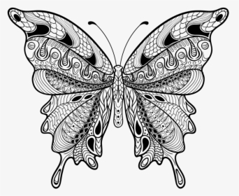 Intricate Butterfly Wing Design, HD Png Download, Free Download