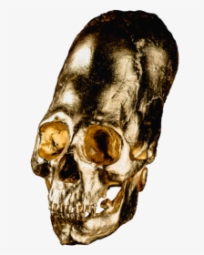Alien Skull No - Skull, HD Png Download, Free Download