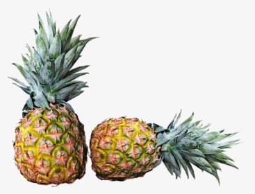 Pineapples, Fruit, Fresh, Tropical, Vitamins, Healthy, - Pineapple, HD Png Download, Free Download
