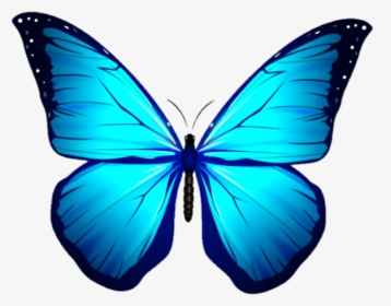 #butterfly #borboleta #asas #🦋 - Sticker, HD Png Download, Free Download