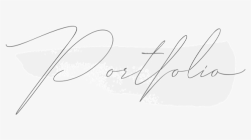 Portfolio-01, HD Png Download, Free Download
