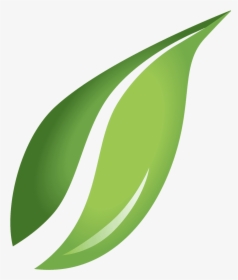 Transparent Green Leaf Png - Leaf Vector Transparent Background, Png Download, Free Download