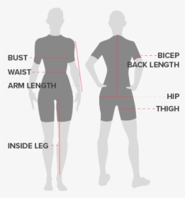 Hip And Thigh Size, HD Png Download - kindpng
