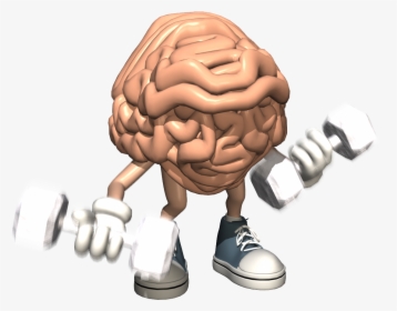 Brain Is Muscle Or Organ, HD Png Download, Free Download