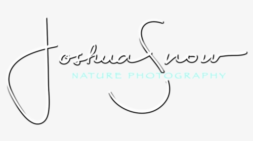Joshua Snow Nature Photography & Workshops - Calligraphy, HD Png Download, Free Download