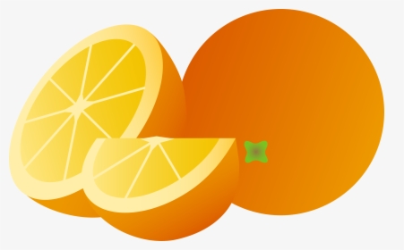 Orange Png Image, Free Download - Transparent Background Orange Cartoon Png, Png Download, Free Download