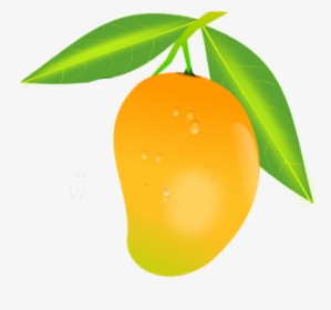 Mango Png Free Download - Mango Fruit Clipart, Transparent Png, Free Download