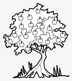 Apple Tree Great Clipart Black And White Family Of - Big Apple Tree Drawing, HD Png Download, Free Download