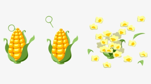 Milho, Explosão, Pipoca, Granada, A Orelha - Corn Grenade, HD Png Download, Free Download