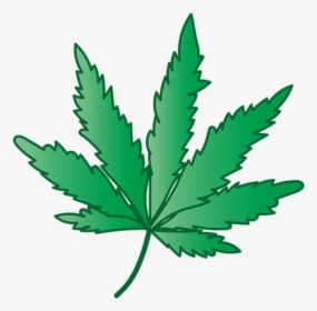 Cannabis, Maconha, Grama, Erva Daninha, Planta, Cânhamo - Cannabis, HD Png Download, Free Download