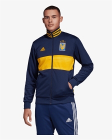 Chamarra Tigres, HD Png Download, Free Download