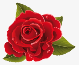 Flores Rojas Png - Rose Flower Drawing Png, Transparent Png, Free Download