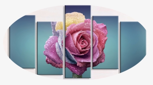 Transparent Dew Drops Png - 720p Flowers, Png Download, Free Download