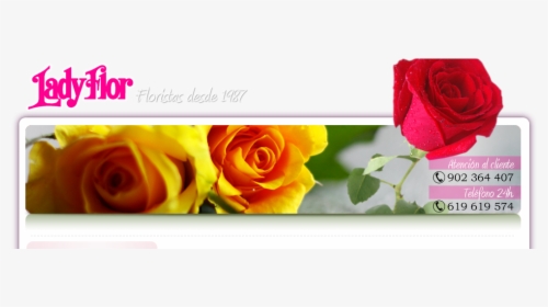 Coronas De Flores A Tanatorios - Floristeria, HD Png Download, Free Download
