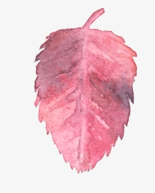 Pink Watercolor Transparent Free Download Png - Transparent Fall Leaf Water Color, Png Download, Free Download
