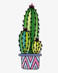 Cactus Cactusdrawing Doodle Plant Freetoedit - Cactus Doodle Png, Transparent Png, Free Download