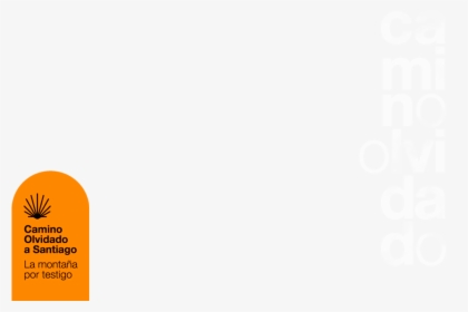 Orange, HD Png Download, Free Download