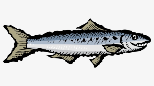 Smiling Sardine, HD Png Download, Free Download