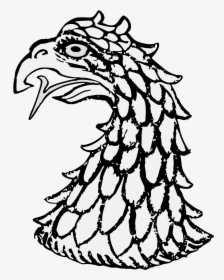Eagle"s Head Couped - Sketch, HD Png Download, Free Download