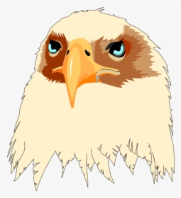 How To Set Use Tan Feathered Eagle Head- - Cara De Aguila Animada, HD Png Download, Free Download