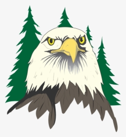 Bald Eagle Head Clip Art - Flagstaff Eagles Logo, HD Png Download, Free Download